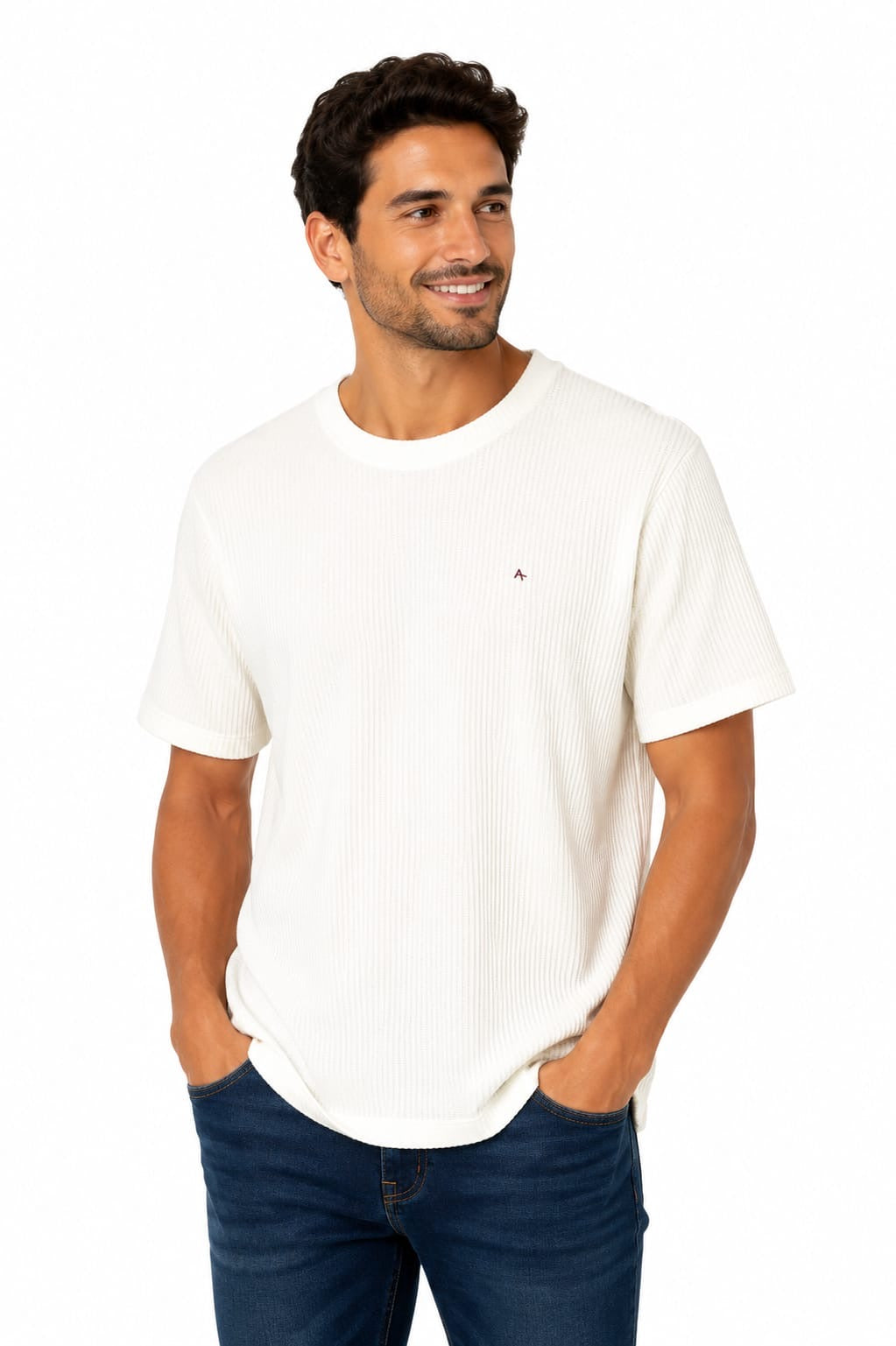 Camisa Tricô Aramis