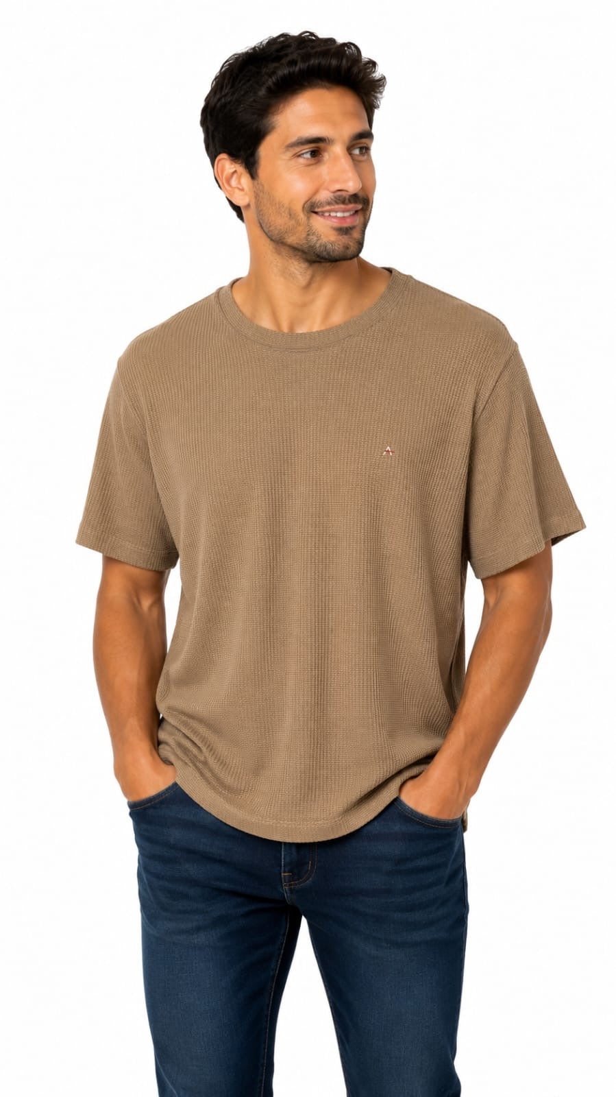 Camisa Tricô Aramis