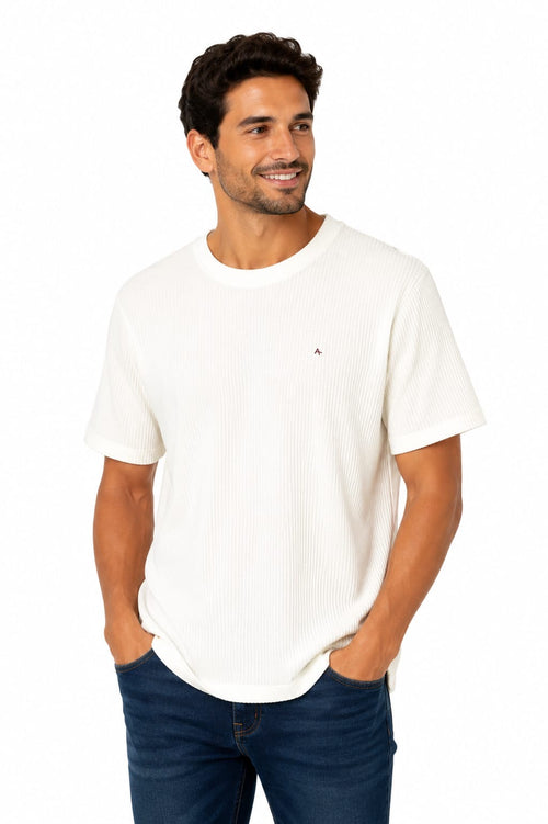 Camisa Tricô Aramis